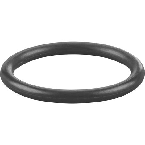 Rems O-Ring 060239