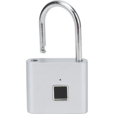 Cadenas à empreinte digitale en alliage de zinc, argenté, pour porte de placard, casier ou chambre d'étudiant.