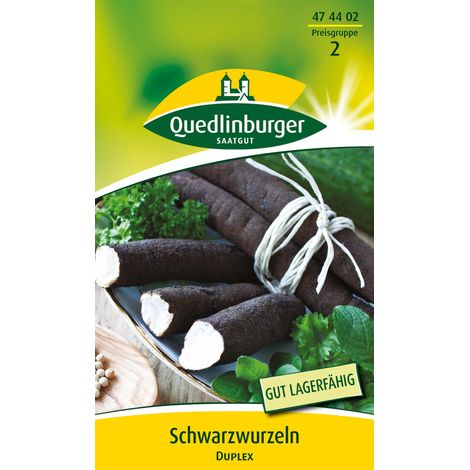 Quedlinburger Saatgut – Salsifis noir « Duplex » – Graines de légumes, hauteur jusqu'à 100 cm, racines noires à chair blanche (1/2)