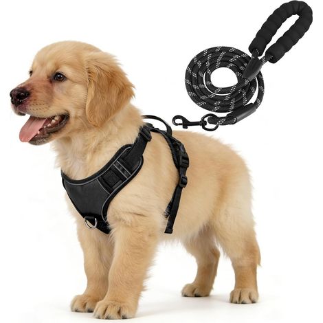 Harnais Chien Anti Traction avec Laisse pour Petit Chien,Noir,S (1/5)