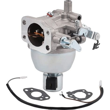 Carburateur pour moteurs Briggs, références 847395, 846280, 808725 et 846944 (1/3)