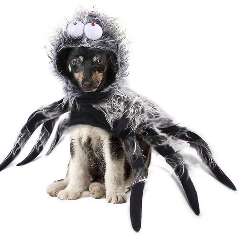 Déguisement d'Halloween pour chiot/chiot araignée - Cape/manteau - S (1/5)