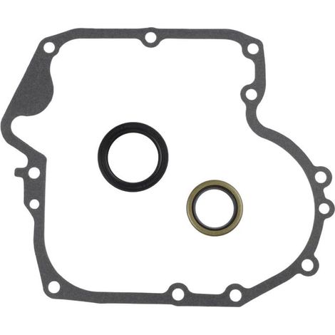 Kit de joints de carter et de joint d'huile pour moteurs de tondeuse à gazon, remplace les numéros de pièces 697110 et 795387 - Construction en métal - Ensemble complet avec un joint et deux joints (1/5)