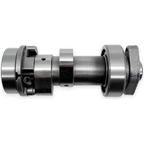 Nockenwelle für Motorradmotoren PR250 und PR300, Motorzubehör für ZONGSHEN ZS172FMM-5 und ZS175FMN (1/5)