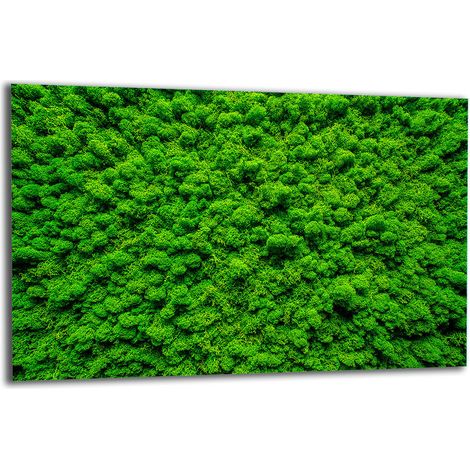 PLAQUE DE PROTECTION EN VERRE POUR CUISINIÈRE 80x52 VERTE (1/5)