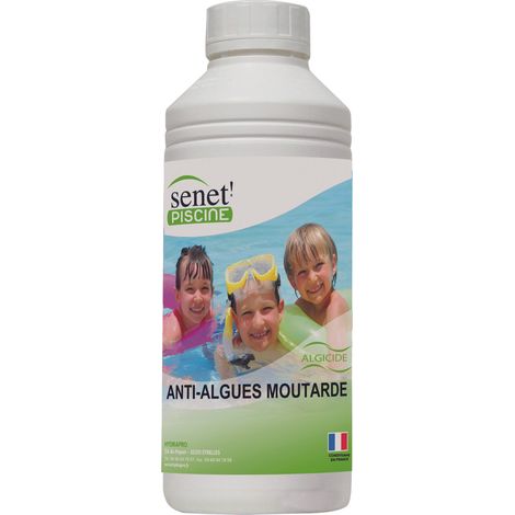 Antialghe per piscina liquido 1 l CENTRALE BRICO