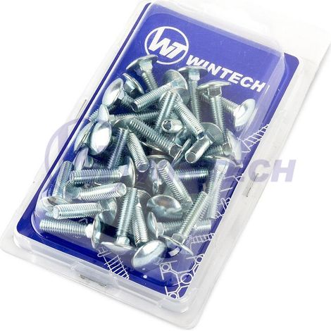 Vite per cancello WINTECH DIN 603 M8 x 25 ZB HAAFA08025BBM1