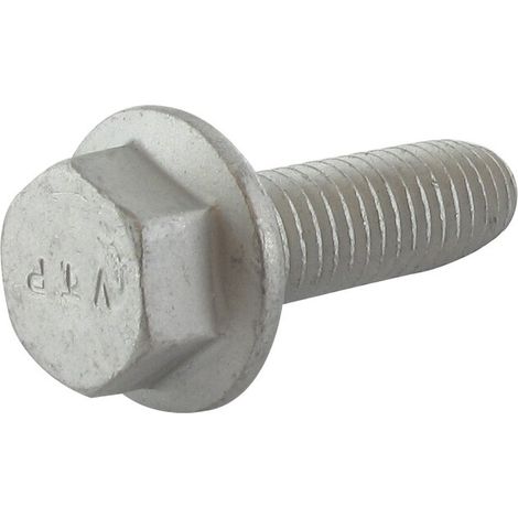 Tornillo arandela M10x30 GGP - CASTELGARDEN 112735108/1