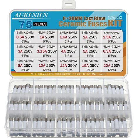 6X30MM Fusible Ceramique 15 Valeurs 0,5A 1A 1,6A 2A 2,5A 3A 3,15A 4A 5A 6,3A 8A 10A 12A 15A 20A 250V 75 Pièces 6X30 MM 250 Volts Kit Fusibles Céramique Fusion Rapide (1/5)