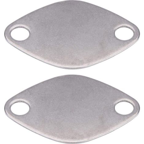 Kit de Plaque d'Obturation de Valve avec Joint 2Pcs Plaque d'obturateur de Vanne EGR Valve Blanking Bloc Assiettes Kit pour Espace Laguna Master Trafic Movano (1/5)