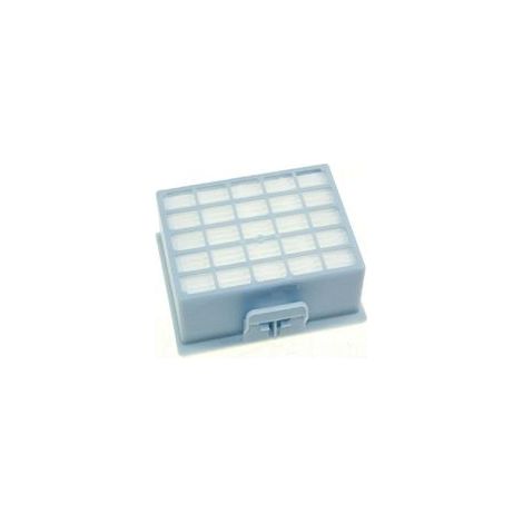 Filtre HEPA BBZ156HF - Compatible Aspirateur 00576833 - H14 Haute Efficacité (1/5)