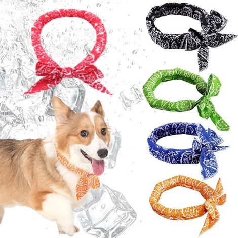 Bandana rafraîchissante pour chien - écharpe rafraîchissante - cache-cou - chaudes journées d'été (rouge-noir - bleu - vert - orange) Taille unique (1/5)
