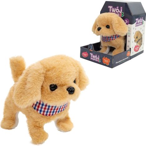 Il tuo cagnolino
