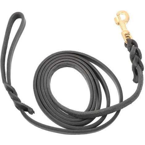 GARRYFIZH Laisse pour chien en cuir de vachette - Longue, douce et durable - Pour chiens moyens et grands