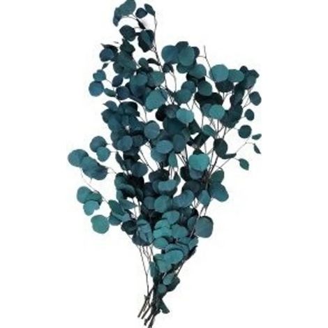 Eucalyptus séché très résistant, 65 cm, déco fleurs séchées – rameau d'eucalyptus préservé, bouquet sec avec vase, style bohème (bleu) (1/5)