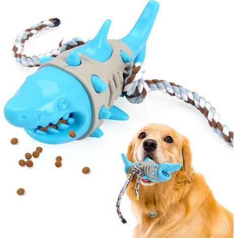 Shark Dental Chew Toy for Dogs (1/4)