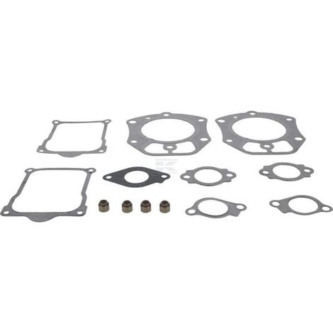 Set guarnizioni valvola BRIGGS & STRATTON 846672 (1/2)