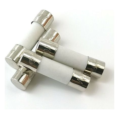 10x Fusible Temporisé (T) en céramique 10A / 250VAC 5x20mm (1/4)