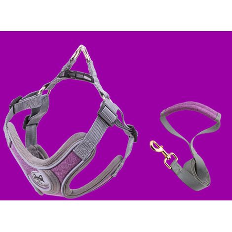 Jeffergarden Harnais Réfléchissant avec Laisse 1.5m – Pour Chiens de Taille Petite et Moyenne, Confortable et Respirant (Violet) (1/5)