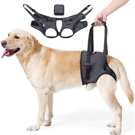 Hundegeschirr für ältere Hunde, Assistenzgeschirr, Stressreduzierung und Gehhilfe für verletzte Hunde, Hinterbeingeschirr, dunkelgrau, Größe XL, (1/4)