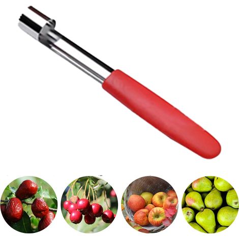Apple Corer - Stainless Steel Core Remover - Kitchen Fruit Tool - For Apples Pears And Similar Fruits - 1 Piece (1/5)