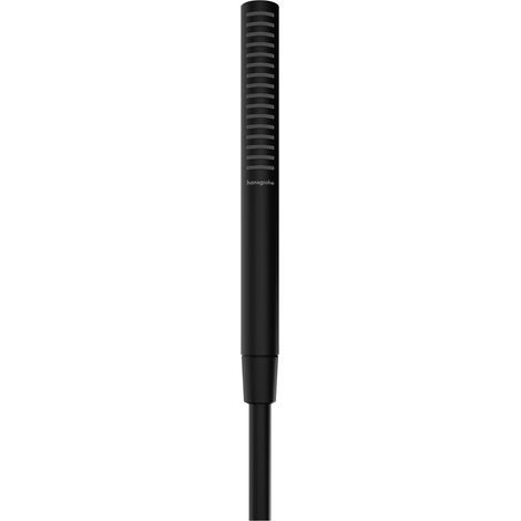 hansgrohe Pulsify S Stabhandbrause 100, 1 Strahlart