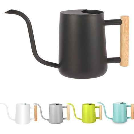 Petit arrosoir d'intérieur en acier inoxydable de 925 ml, arrosoir décoratif moderne à long bec (1/4)