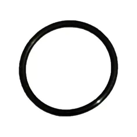 BESTWAY - P61736 - Guarnizione per filtro a catuccia 58391 (1/2)