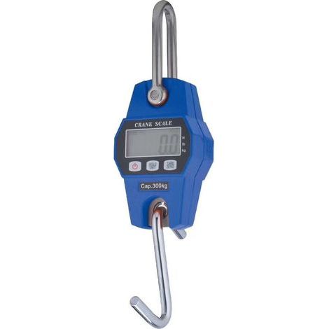 Dinamometro industriale a gancio LCD, portata 300 kg, blu (1/3)