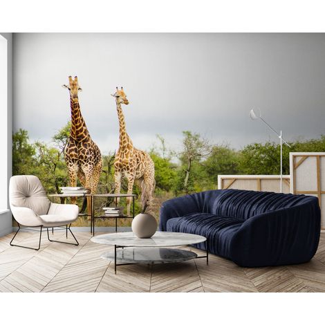 Papier Peint Paysage - Girafes en Savane - 150 x 250 cm (1/2)