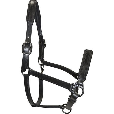 Pony, Nero: Lederhalfter gepolstert aus weichem Leder mit Glitzer auf Nasenstück und Oberkopf (1/2)
