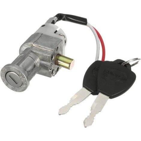 BUNTHAUS Cylindre de batterie pour scooter électrique avec 2 clés - Mini verrou de sécurité pour moto et vélo électrique (1/4)