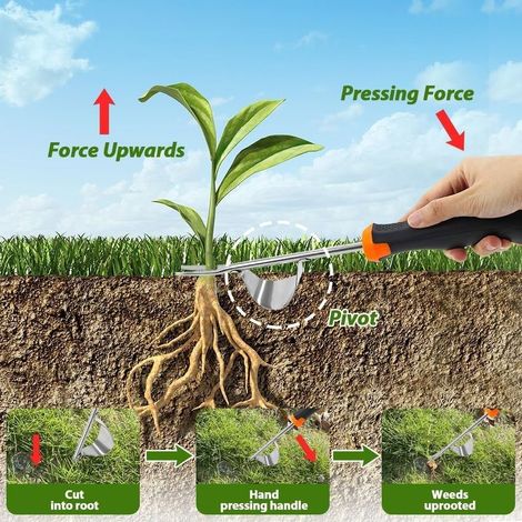 2 Pièce Désherbeur Manuel en Acier Inoxydable,Arrache Pissenlit,Arrache Mauvaise Herbe,Extracteur Mauvaises Herbes,Outil désherbage Manuel pour Creuser Désherber Ameublir,avec Gants Antidérapants (1/2)