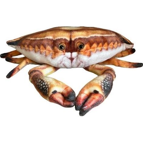 Cangrejo de 31 cm