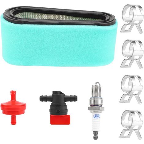 Filtres à air, préfiltres, soupapes de coupure de carburant et bougies d'allumage pour moteurs Briggs & Stratton 496894S, 493909S, 272403S 12.5-17. (1/3)