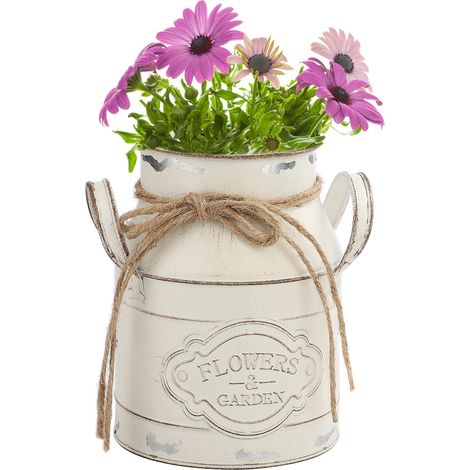 Maceta de metal para jardín – Blanca – Sin orificio de drenaje – Rústica y robusta – Ideal para suculentas o como jarrón (1/5)