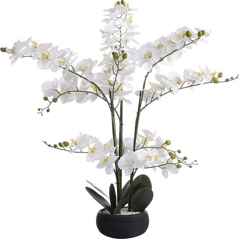 Pianta artificiale orchidea H.65 x L.54 cm con vaso in Cemento Bianco - TARA (1/4)