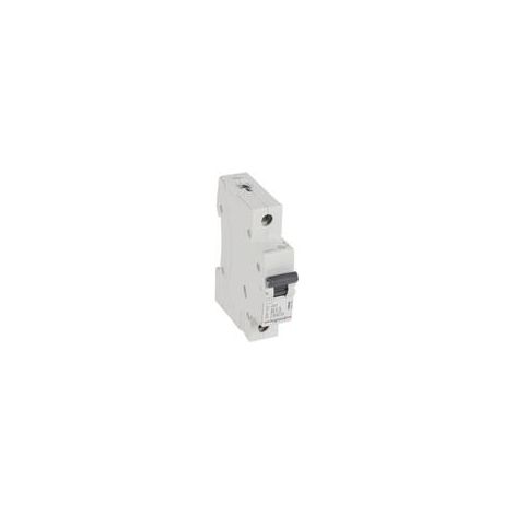 Interrupteur et disjoncteur Legrand rx3 13A 6000A