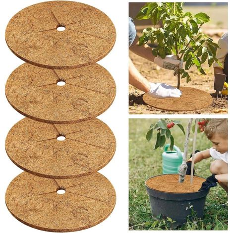 Disque paillage coco plante 30cm protection paillage (1/5)