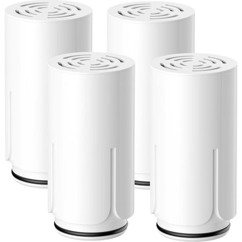 Lot de 4 filtres à eau pour filtre à eau AWP305/10 X-Guard (1/5)