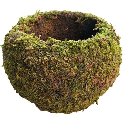 Pot de fleurs Moss Kokedama avec boule de mousse japonaise séchée - Kit jardinage balcon et décor maison - Diamètres 7/3cm à 20/10cm (1 unité) (1/4)