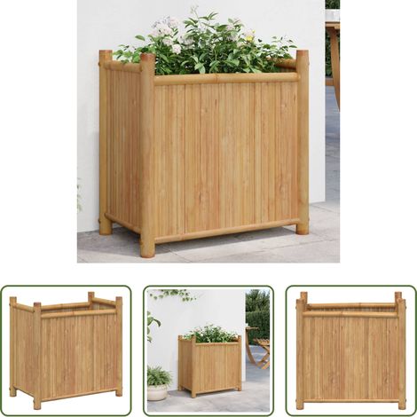 Gartenpflanzen -  Pflanzkübel 50x30x50 cm Bambus (1/5)