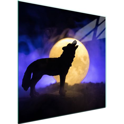 GLASSCHUTZPLATTE FÜR HERD 50x52 WILK (1/5)