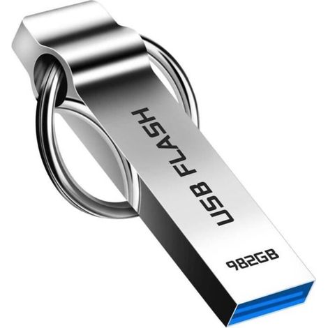 Neptune – Clé USB 982 Go USB 3.0 – Transferts rapides – Métal durable – Compatible Windows et Mac