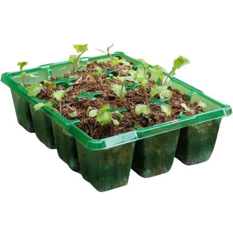 Bac à semences 12 pots Gro-sure (1/3)