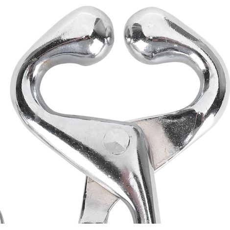 Beyamis Pince à nez de vache en acier inoxydable avec chaîne, pince de traction pour bovins (1/5)