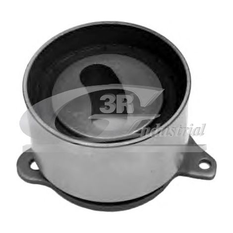 3RG 13807 RODILLO TENSOR