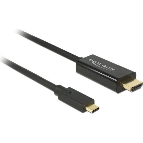 delock Parade PS171 adaptateur vidéo noir USB-C HDMI (1/4)