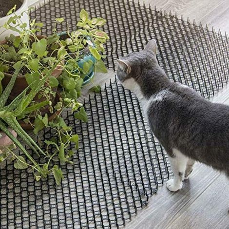 Thorn Gate Animal Barrier Garden Cat Animal Repellent Scat Spike Mat, Tapis de Dissuasion extérieurs pour Le Jardin et la clôture pour Chats Filet (49 13 3CM) (1/5)