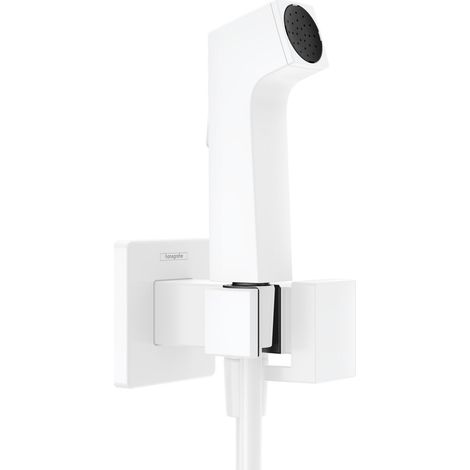 hansgrohe Bidette ducha de mano 1jet E EcoSmart para agua